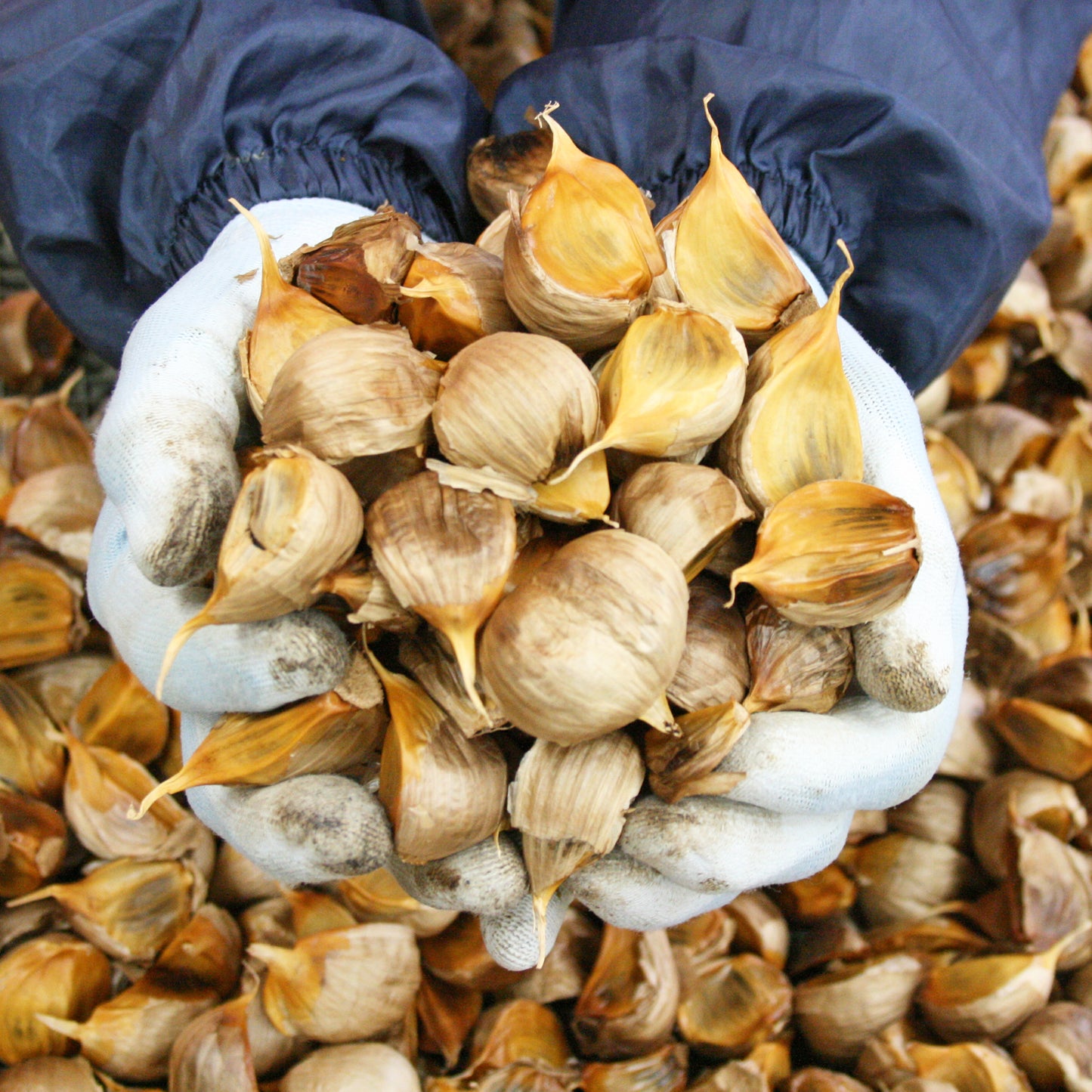 KURO NINNIKU 発酵黒にんにく