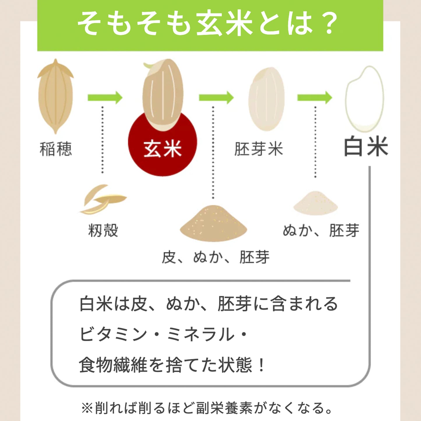 【定期便】NEKASE GENMAI 玄米ごはん黒米ブレンド 24食セット【1ヶ月毎】
