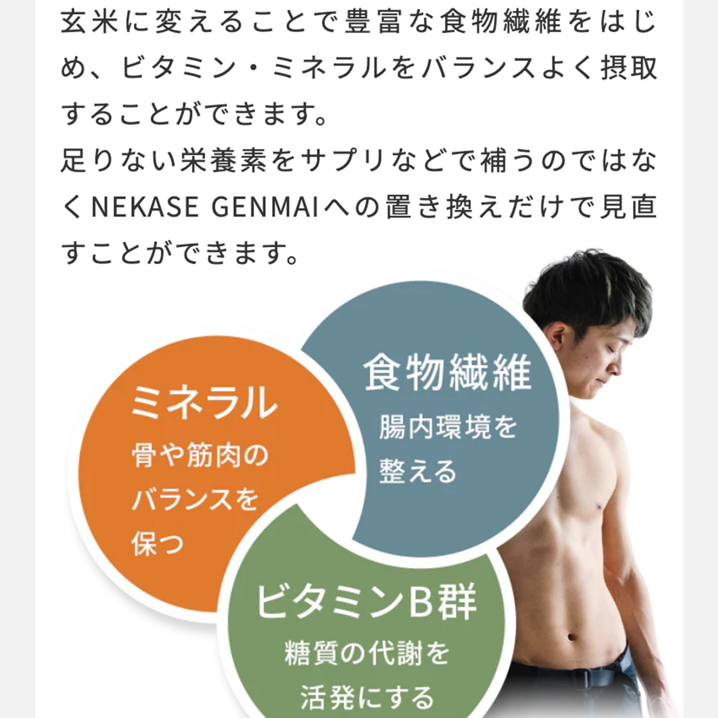 【定期便】NEKASE GENMAI 玄米ごはん黒米ブレンド 24食セット【1ヶ月毎】