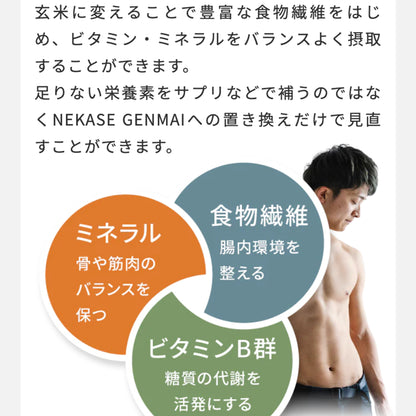 【定期便】NEKASE GENMAI 玄米ごはん黒米ブレンド 24食セット【1ヶ月毎】